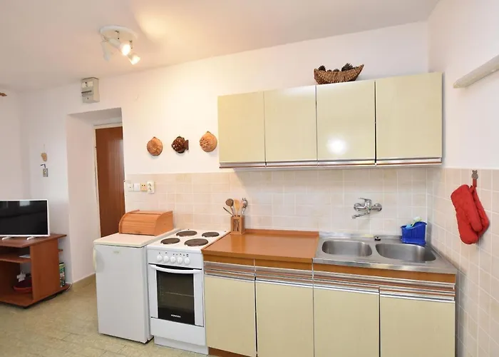 Ziva * 프리모스턴