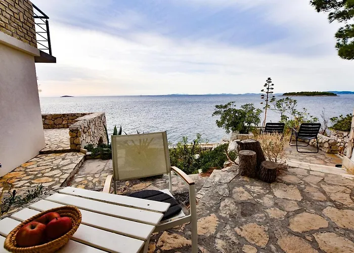 Ziva 프리모스턴